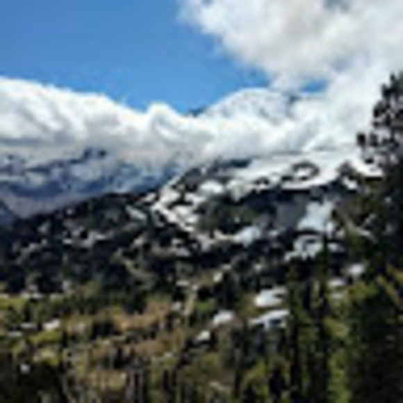 Meet your Posher, Dani - Picture 1 of 1